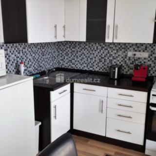 Pronájem bytu 1+1 40 m² Brno Staré, Výstavní