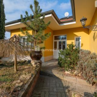 Prodej rodinného domu 456 m² Mladá Boleslav III, Viničná