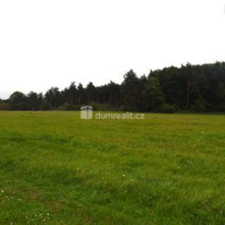 Prodej zemědělské půdy 6 490 m² Benátky nad Jizerou I, Pražská