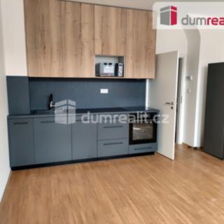 Pronájem bytu 1+kk a garsoniéry 27 m² Přerov I-Město, Čechova
