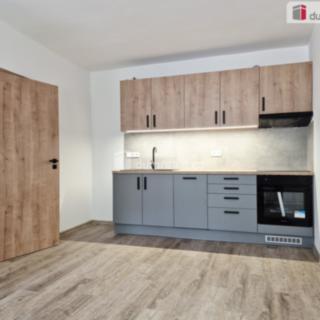 Pronájem bytu 2+kk 43 m² České Budějovice
