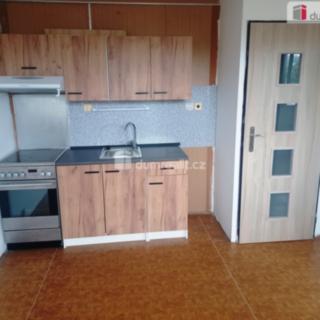Pronájem bytu 1+1 35 m² Jílové