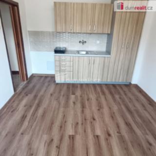 Pronájem bytu 1+kk a garsoniéry 16 m² Benešov nad Ploučnicí, Nádražní
