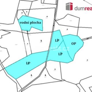 Prodej lesa 15 587 m² Kaplice Hradiště, Hradiště