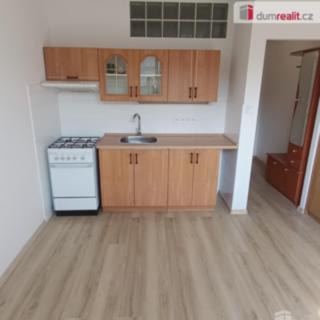 Pronájem bytu 1+1 36 m² Děčín III-Staré Město, Jezdecká