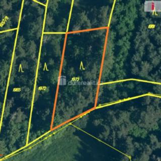Prodej lesa 1 043 m² Měčín Petrovice, Petrovice