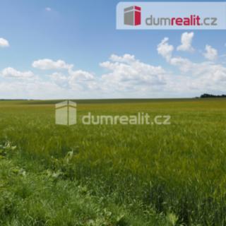 Prodej zemědělské půdy 11 679 m² Dolní Bousov Horní Bousov, Horní Bousov