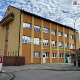 Pronájem kanceláře 15 m² České Budějovice