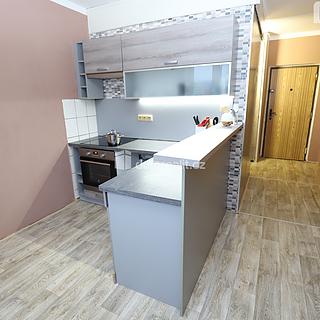 Pronájem bytu 1+1 41 m² Sokolov, Křížová