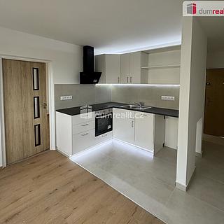 Pronájem bytu 1+1 35 m² Ústí nad Labem Severní Terasa, Glennova