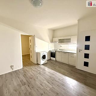 Pronájem bytu 1+1 36 m² Jílové