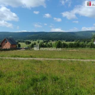 Prodej stavební parcely 3 720 m² Orlické Záhoří, Orlické Záhoří