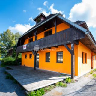 Prodej hotelu a penzionu 366 m² Frymburk Kovářov, Kovářov