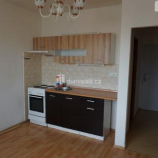 Pronájem bytu 1+1 36 m² Jílové Kamenná, Lipová