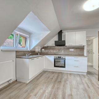 Pronájem bytu 2+kk 58 m² Záryby, Záryby