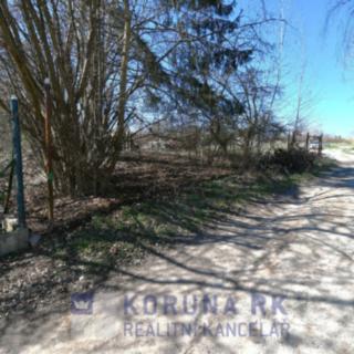 Prodej stavební parcely 3 588 m² Trhové Sviny, Lesní
