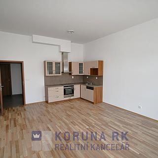 Pronájem bytu 2+kk 56 m² České Budějovice 7, Lidická tř.