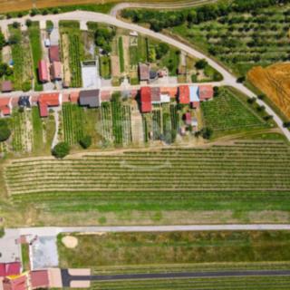 Prodej komerčního pozemku 2 210 m² Bořetice