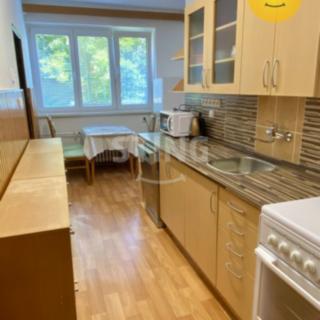Pronájem bytu 3+1 58 m² Strážnice, Ořechovka