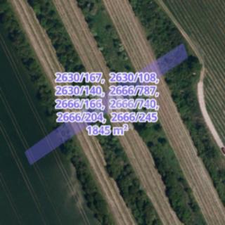 Prodej zemědělské půdy 3 674 m² Čejkovice