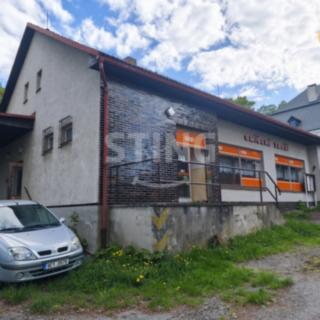 Prodej ostatního komerčního prostoru 170 m² Vyklantice Staré