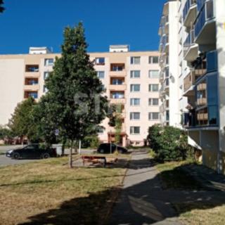 Prodej bytu 1+1 32 m² Žďár nad Sázavou 6, Palachova