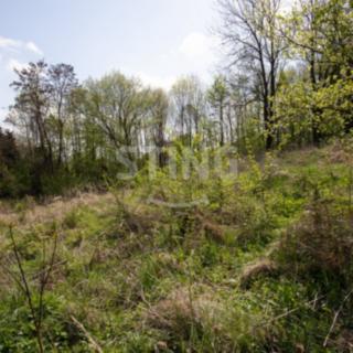 Prodej stavební parcely 1 583 m² Teplice nad Bečvou