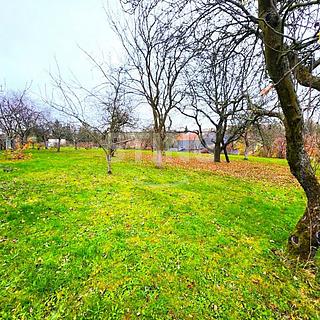 Prodej zahrady 1169 m² Dolní Nětčice