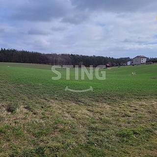Prodej stavební parcely 650 m² Bolatice Borová