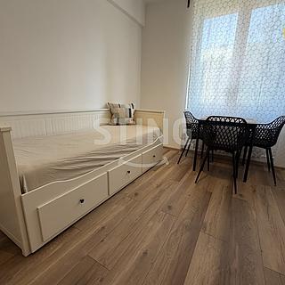 Pronájem bytu 1+kk a garsoniéry 19 m² Ostrava, Nádražní