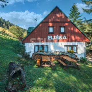 Prodej hotelu a penzionu 220 m² Pec pod Sněžkou Velká Úpa
