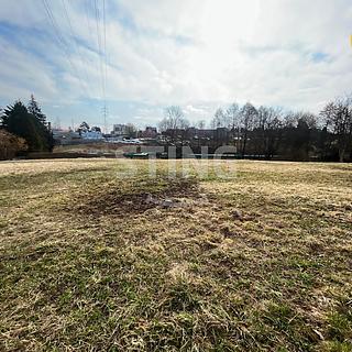 Pronájem zahrady 5539 m&sup2; Havířov