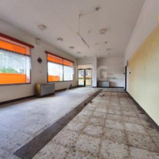 Prodej ostatního komerčního prostoru 170 m² Vyklantice Staré