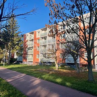 Prodej bytu 2+1 56 m&sup2; Uničov