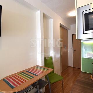 Pronájem bytu 1+kk, garsoniery 24 m&sup2; Všemina