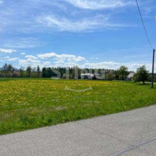 Prodej stavební parcely 957 m² Horní Domaslavice