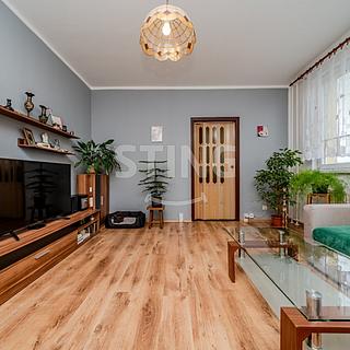 Prodej bytu 2+1 43 m² Havířov Šumbark, Emy Destinnové