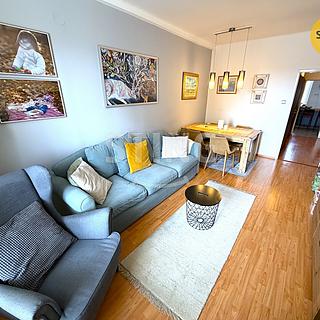 Pronájem bytu 2+1 50 m² Ostrava Poruba, Dvorní