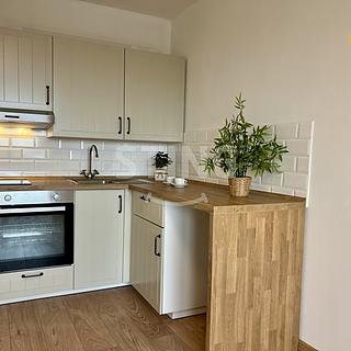 Pronájem bytu 1+kk, garsoniery 29 m² Ostrava