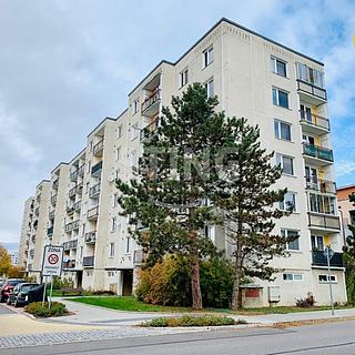 Pronájem bytu 1+1, 41m²