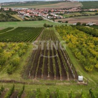 Prodej ostatního pozemku 5 412 m² Velké Pavlovice