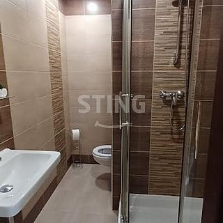 Prodej bytu 1+kk a garsoniéry 33 m² Orlová Lutyně, Na Výsluní