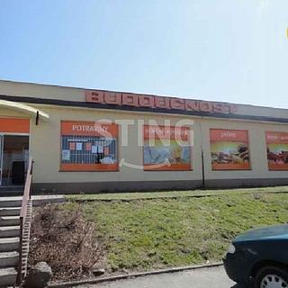 Pronájem skladu 46 m&sup2; Ostrava