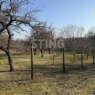 Prodej ostatního pozemku 4 555 m² Miroslavské Knínice