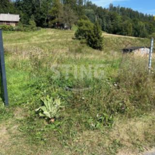Prodej stavební parcely 2 296 m² Město Albrechtice Hynčice