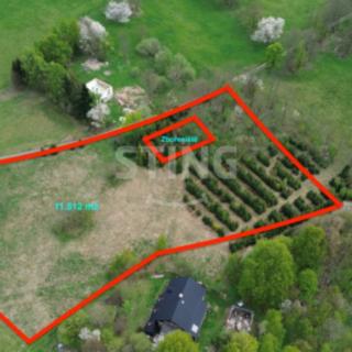 Prodej ostatních pozemků 11518 m² Horní Město