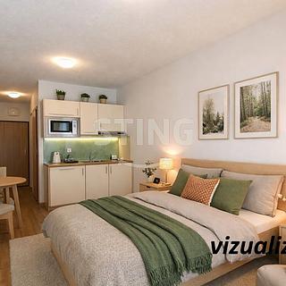 Pronájem bytu 1+kk a garsoniéry 24 m² Všemina