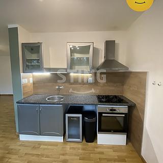 Pronájem bytu 1+kk, garsoniery 45 m² Kopřivnice
