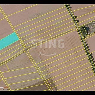 Prodej zemědělské půdy 5 188 m² Krumsín