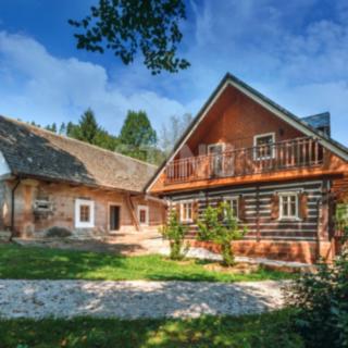 Prodej rodinného domu 360 m² Vidochov Stupná